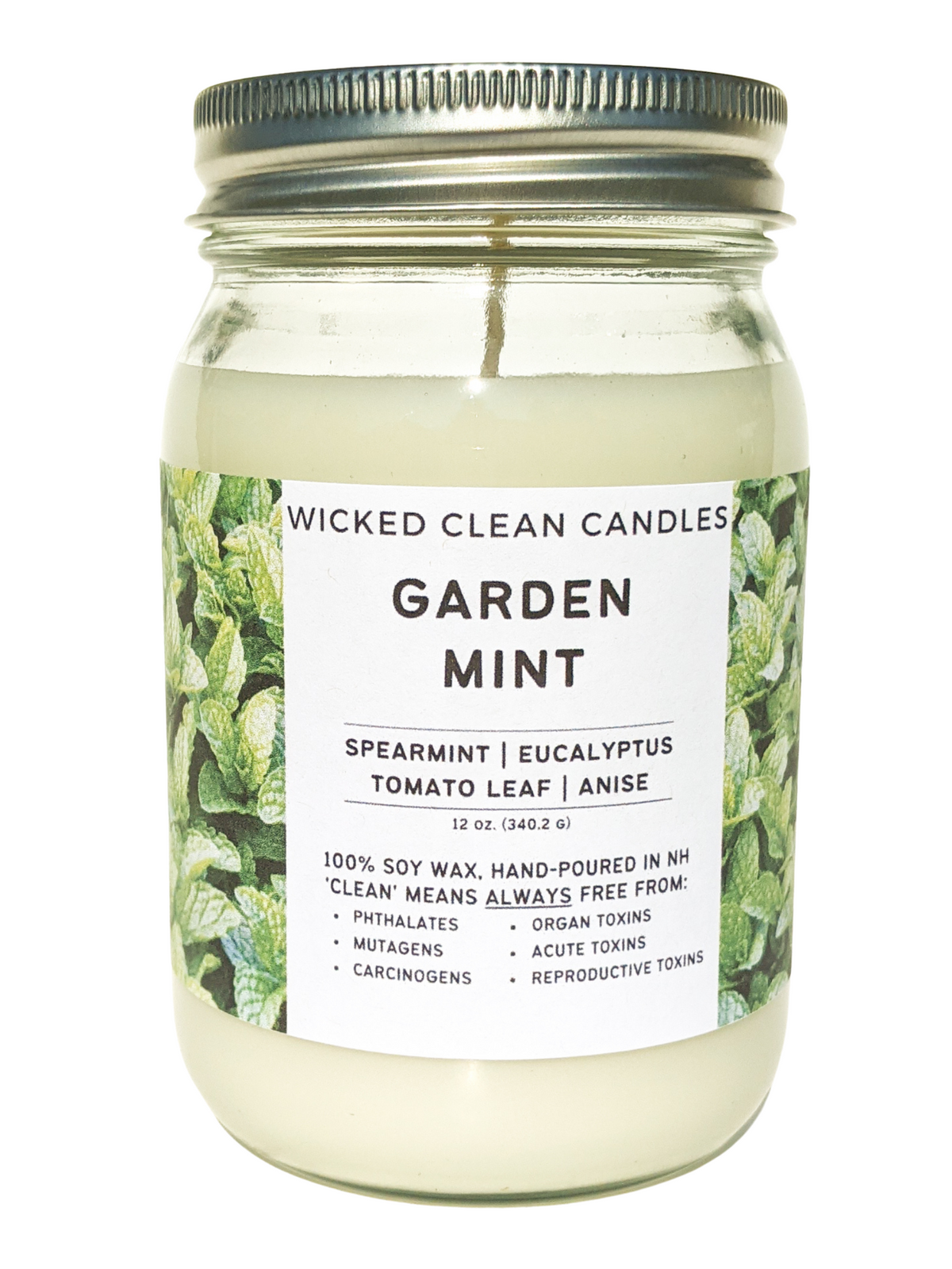 Garden Mint