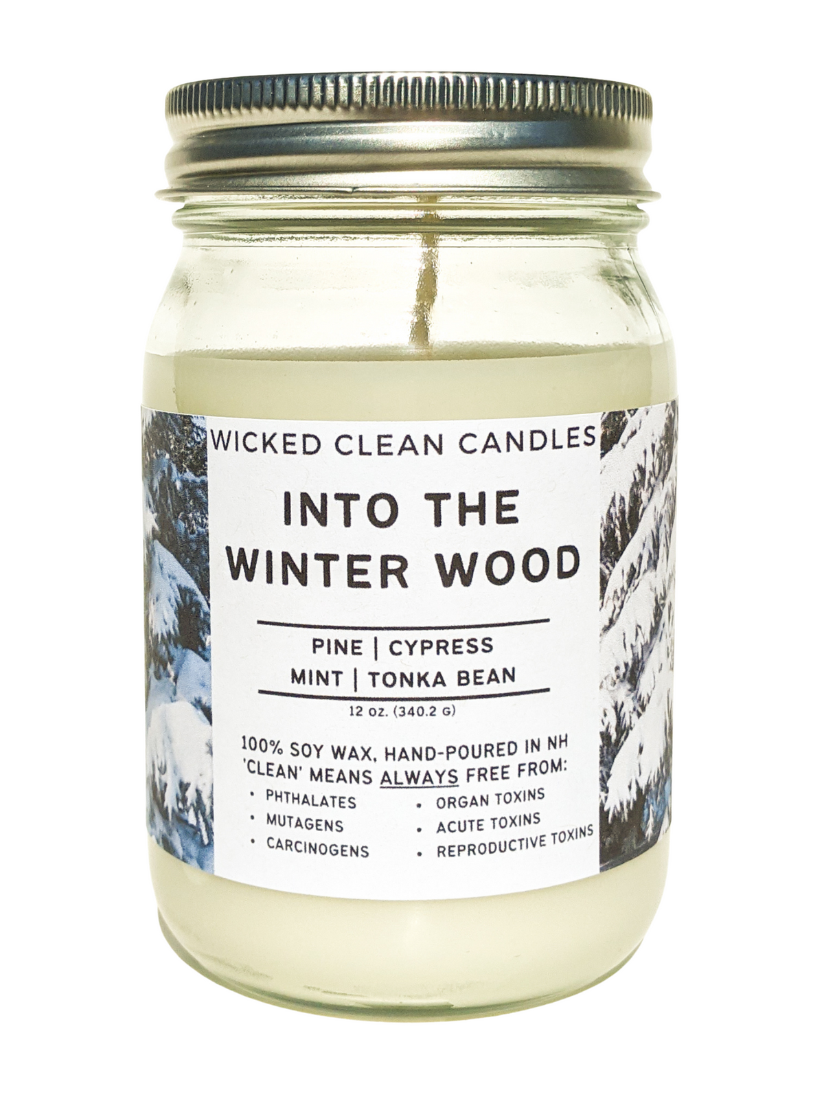 Into the Winter Wood